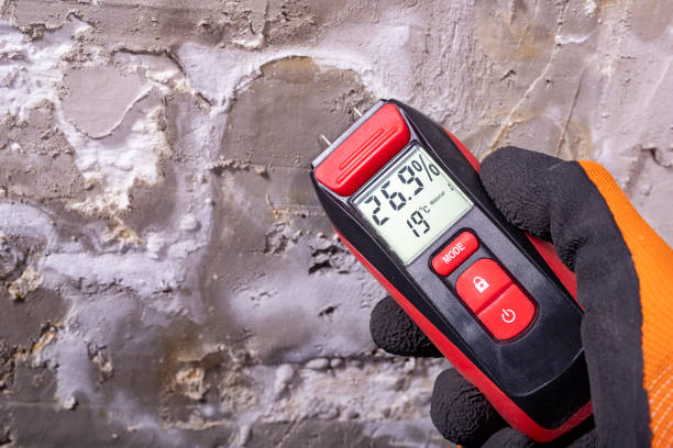 Best Office Mold Removal Services  in Ilion, NY